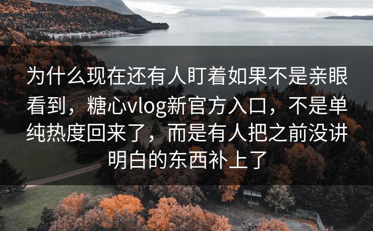 为什么现在还有人盯着如果不是亲眼看到，糖心vlog新官方入口，不是单纯热度回来了，而是有人把之前没讲明白的东西补上了