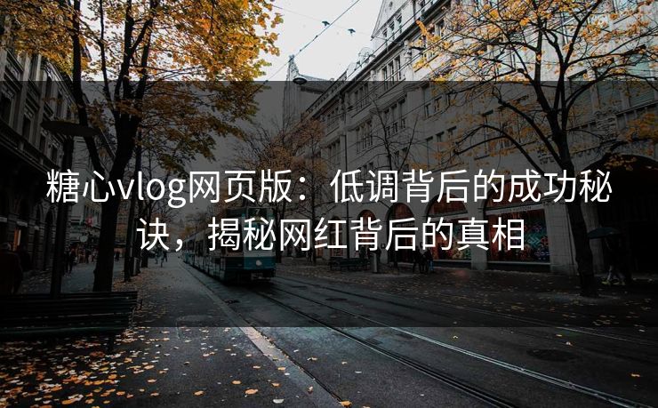 糖心vlog网页版：低调背后的成功秘诀，揭秘网红背后的真相