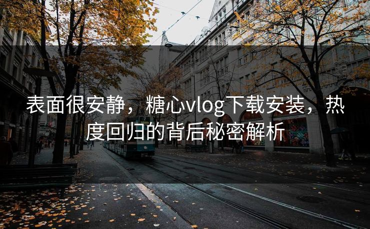 表面很安静，糖心vlog下载安装，热度回归的背后秘密解析