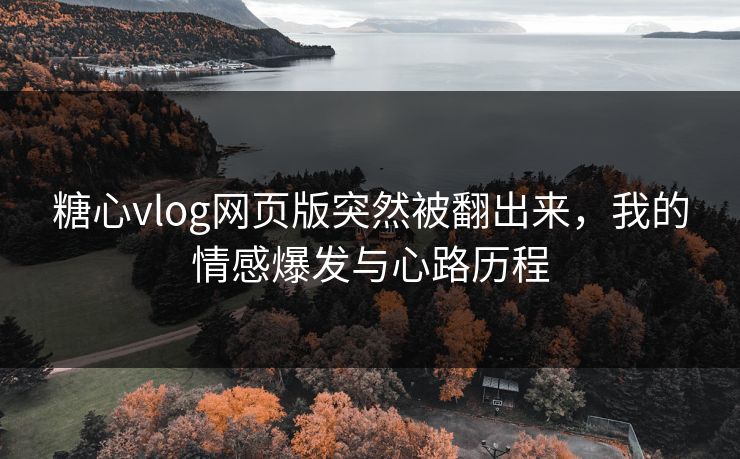 糖心vlog网页版突然被翻出来，我的情感爆发与心路历程