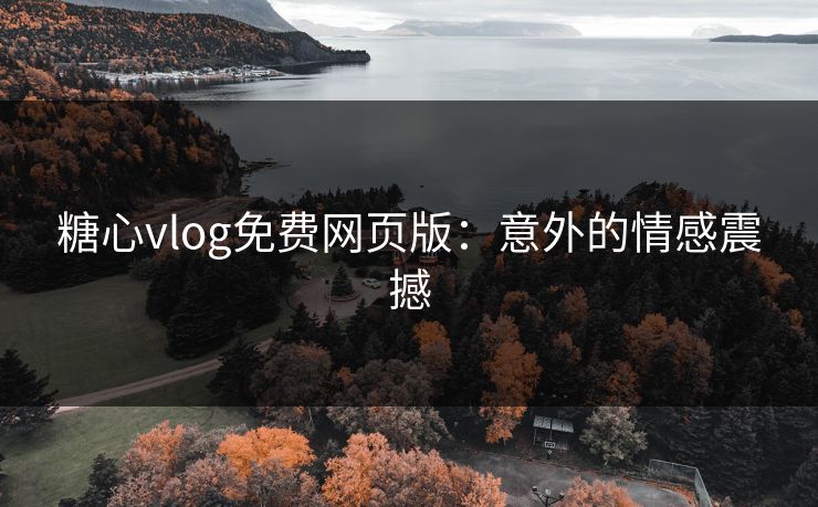 糖心vlog免费网页版：意外的情感震撼