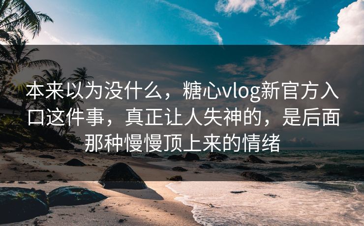本来以为没什么，糖心vlog新官方入口这件事，真正让人失神的，是后面那种慢慢顶上来的情绪