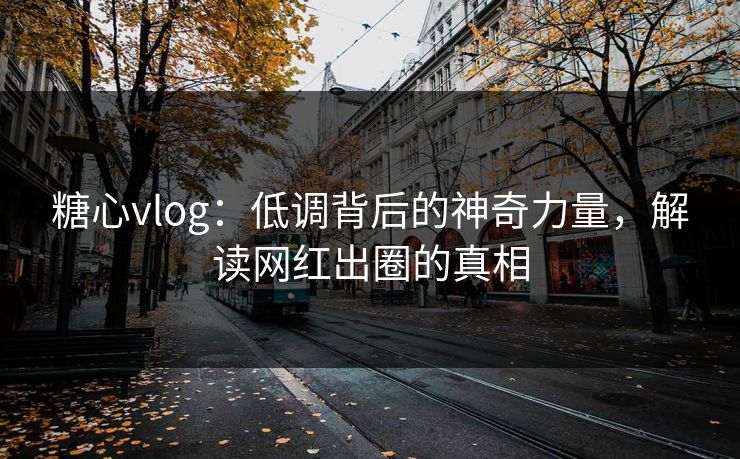 糖心vlog：低调背后的神奇力量，解读网红出圈的真相