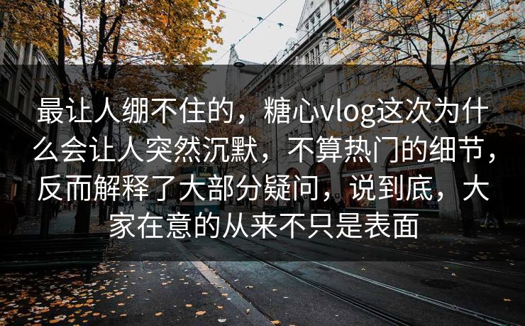 最让人绷不住的，糖心vlog这次为什么会让人突然沉默，不算热门的细节，反而解释了大部分疑问，说到底，大家在意的从来不只是表面