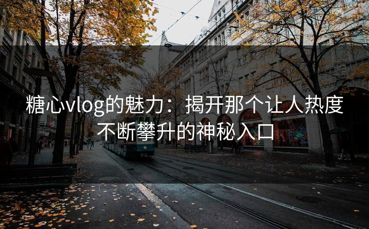 糖心vlog的魅力：揭开那个让人热度不断攀升的神秘入口