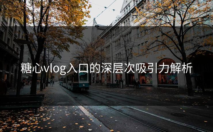 糖心vlog入口的深层次吸引力解析