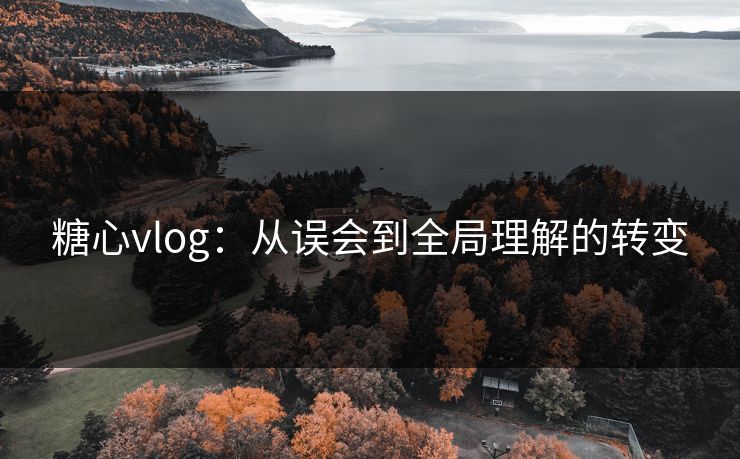 糖心vlog：从误会到全局理解的转变