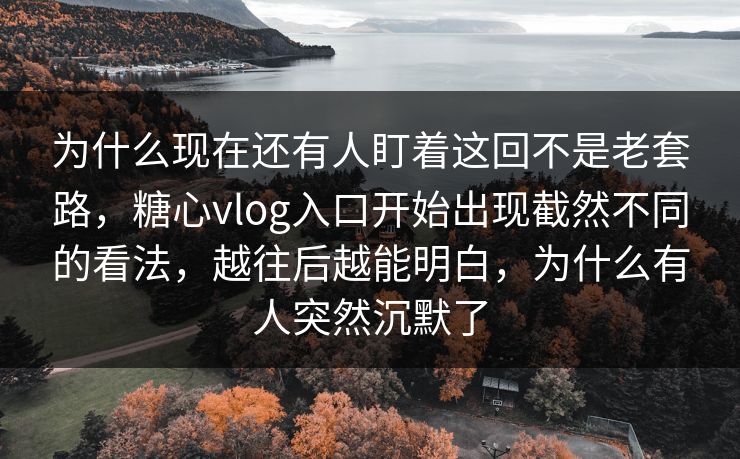 为什么现在还有人盯着这回不是老套路，糖心vlog入口开始出现截然不同的看法，越往后越能明白，为什么有人突然沉默了