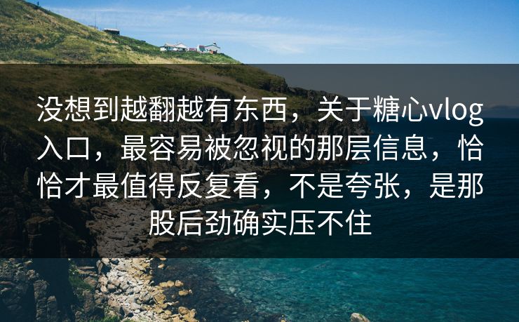 没想到越翻越有东西，关于糖心vlog入口，最容易被忽视的那层信息，恰恰才最值得反复看，不是夸张，是那股后劲确实压不住