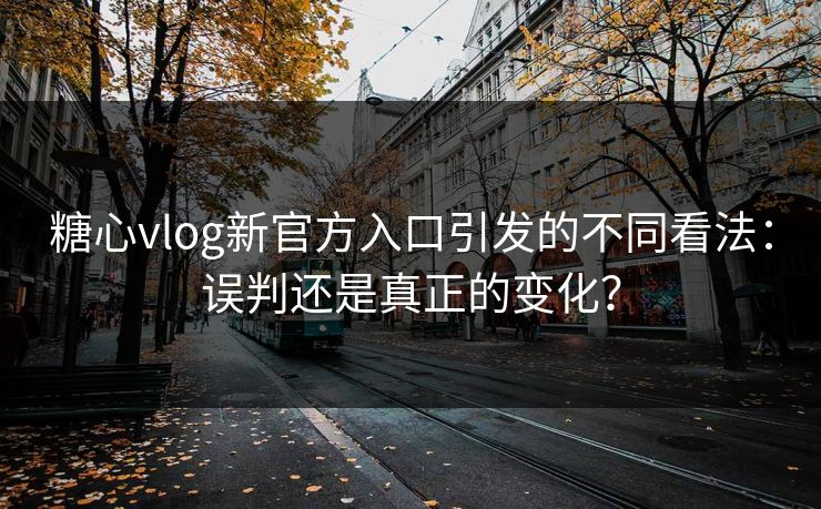糖心vlog新官方入口引发的不同看法：误判还是真正的变化？