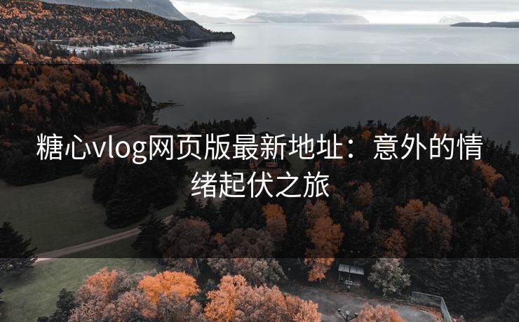 糖心vlog网页版最新地址：意外的情绪起伏之旅