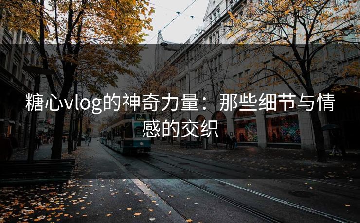 糖心vlog的神奇力量：那些细节与情感的交织