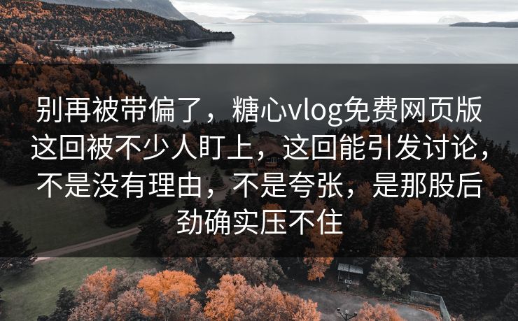 别再被带偏了，糖心vlog免费网页版这回被不少人盯上，这回能引发讨论，不是没有理由，不是夸张，是那股后劲确实压不住