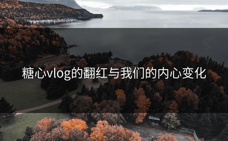 糖心vlog的翻红与我们的内心变化